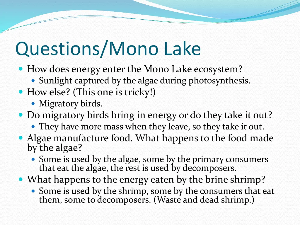 questions mono lake how does energy enter