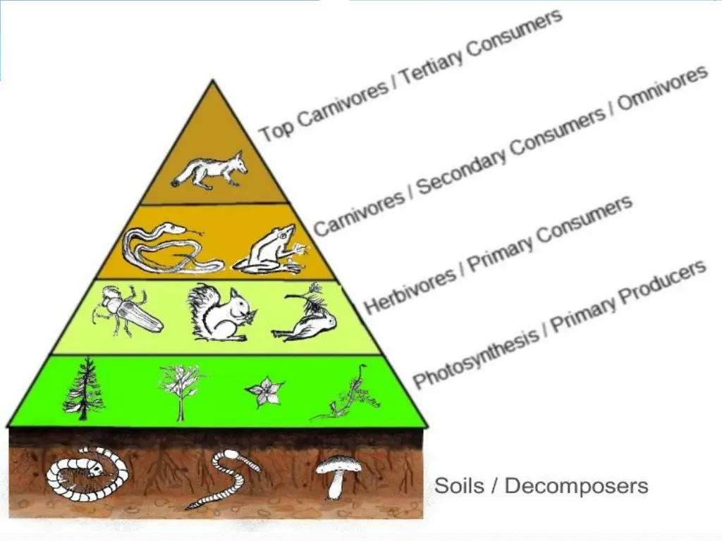 slide7