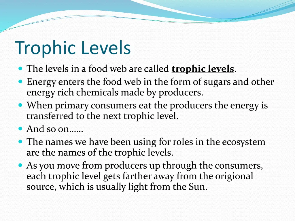 trophic levels 1