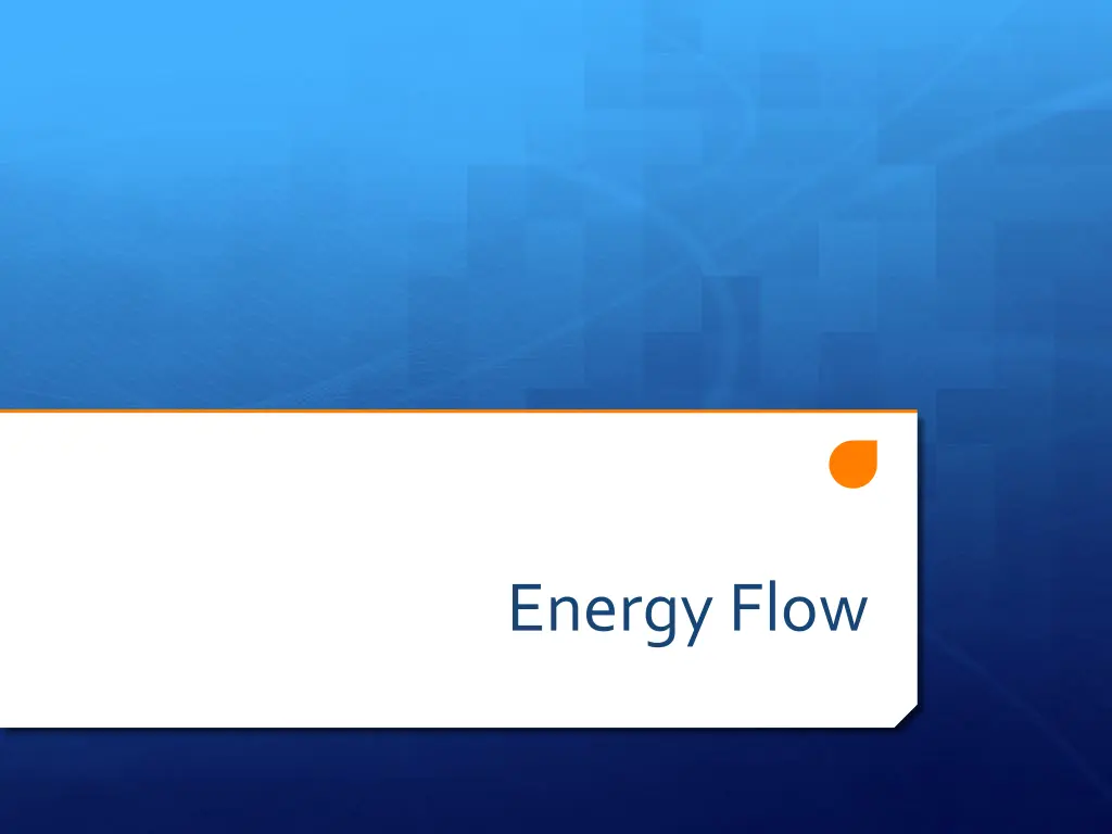 energy flow