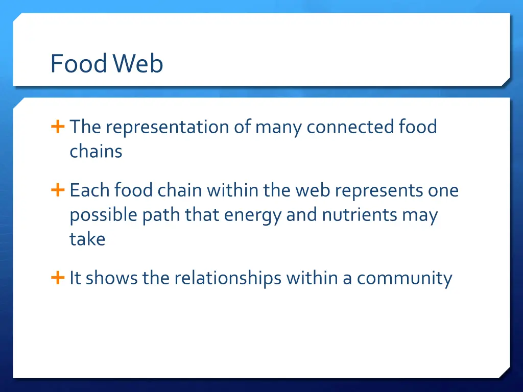 food web