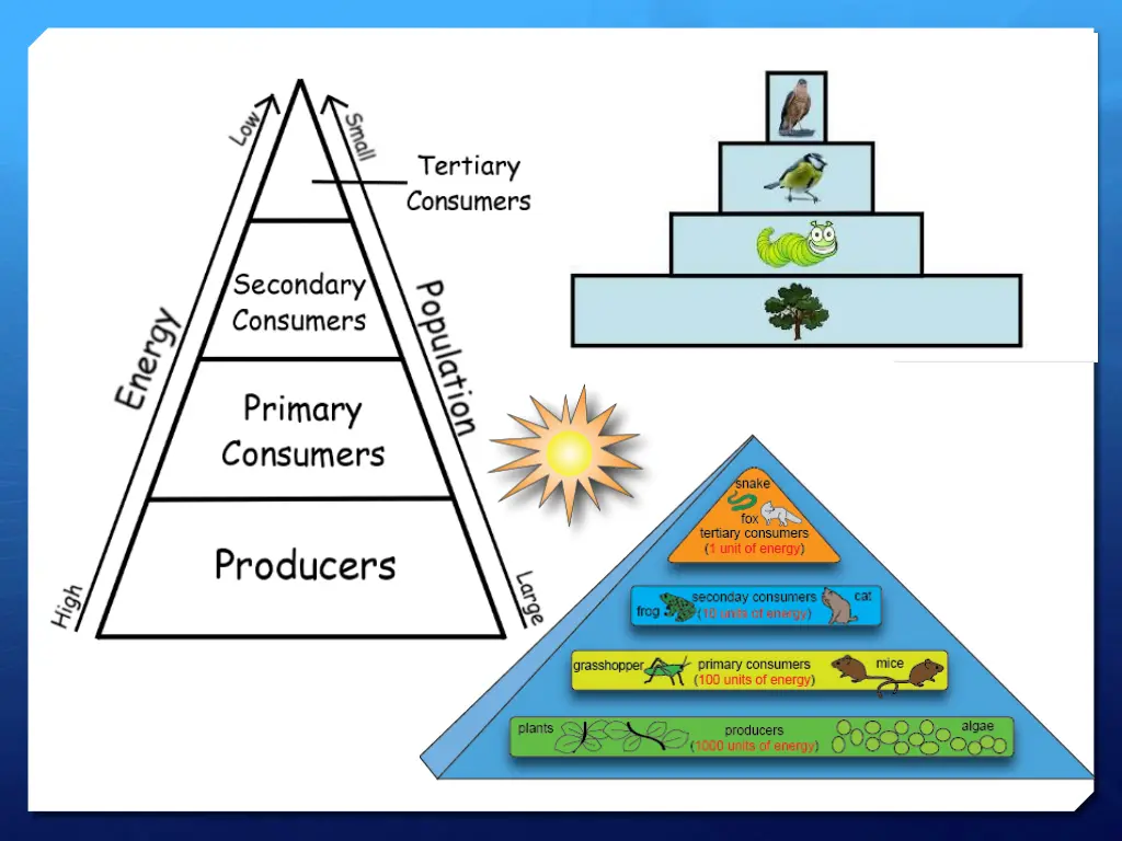 slide10