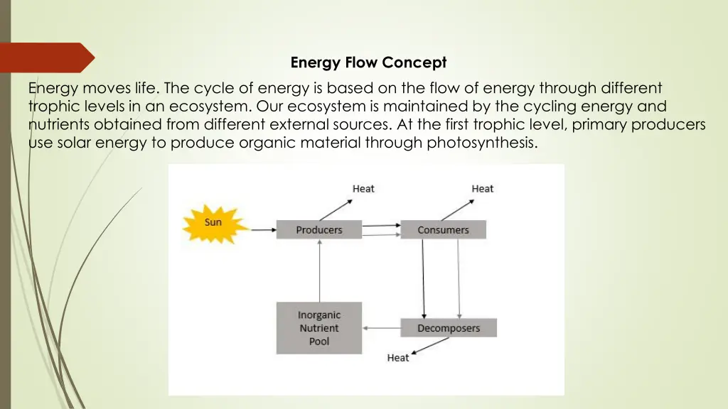 energy flow concept