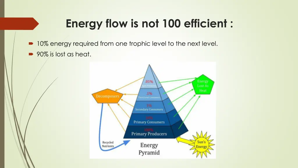 energy flow is not 100 efficient