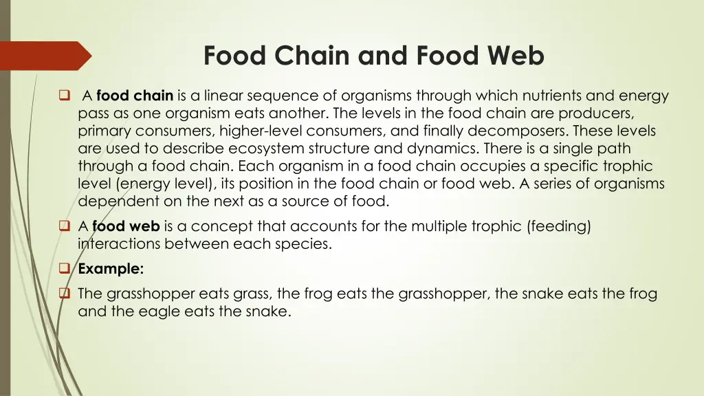 food chain and food web