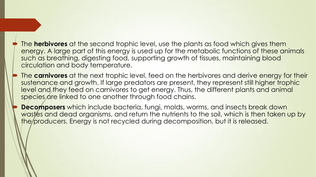 the herbivores at the second trophic level