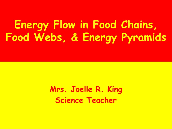 energy flow in food chains food webs energy