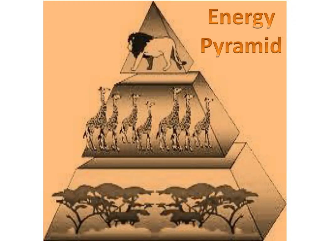 energy pyramid