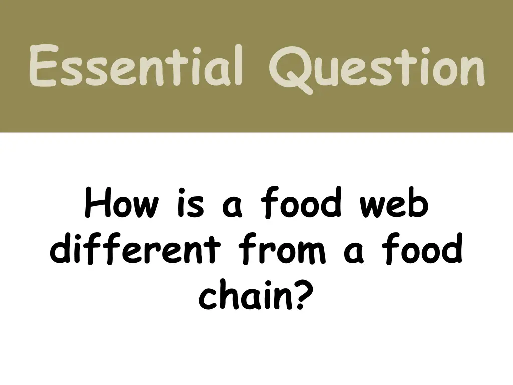 essential question 1