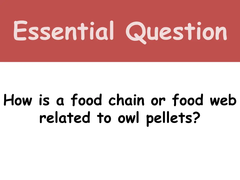 essential question 2