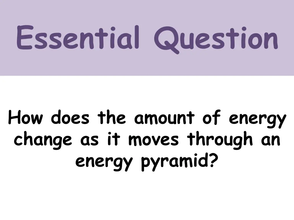 essential question 4