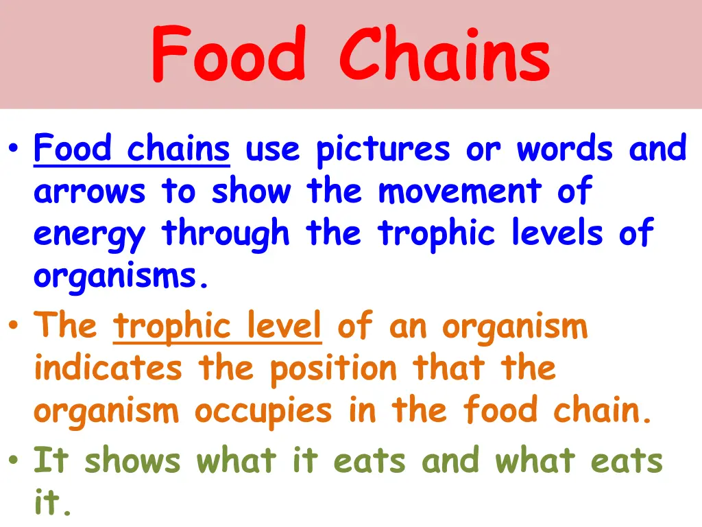 food chains