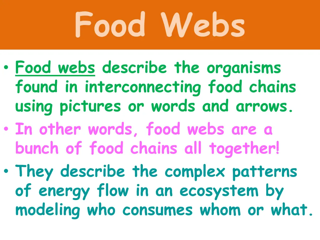 food webs