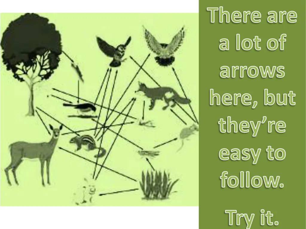 there are a lot of arrows here but they re easy