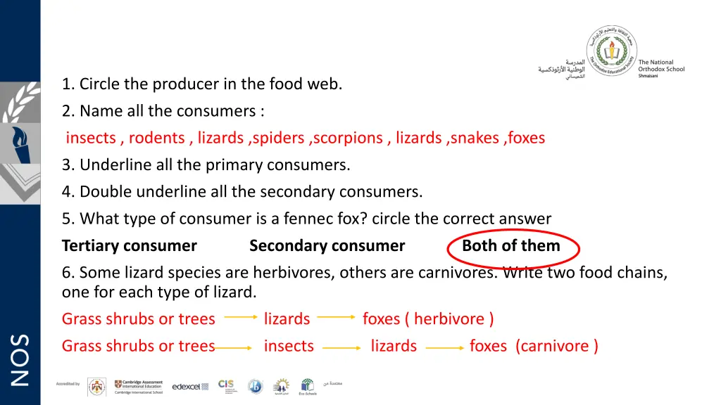 1 circle the producer in the food web 2 name