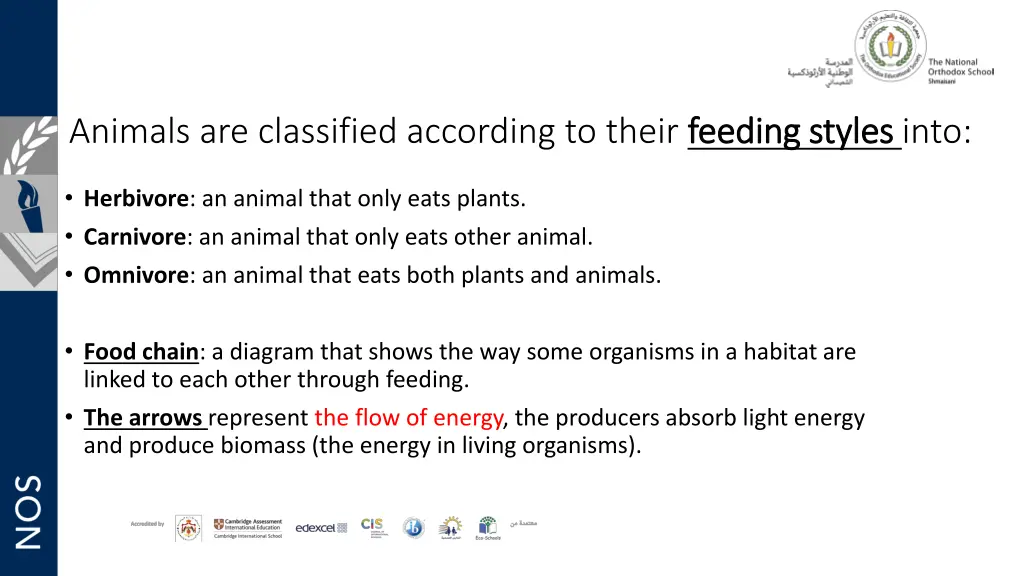 animals are classified according to their feeding