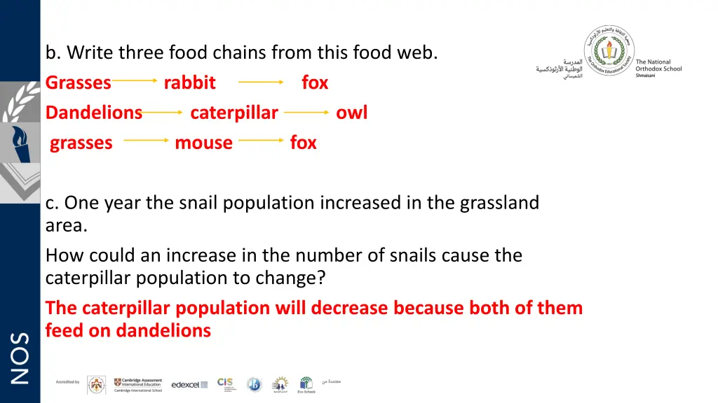 b write three food chains from this food