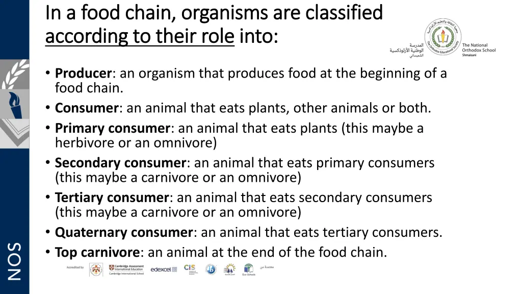 in a food chain organisms are classified