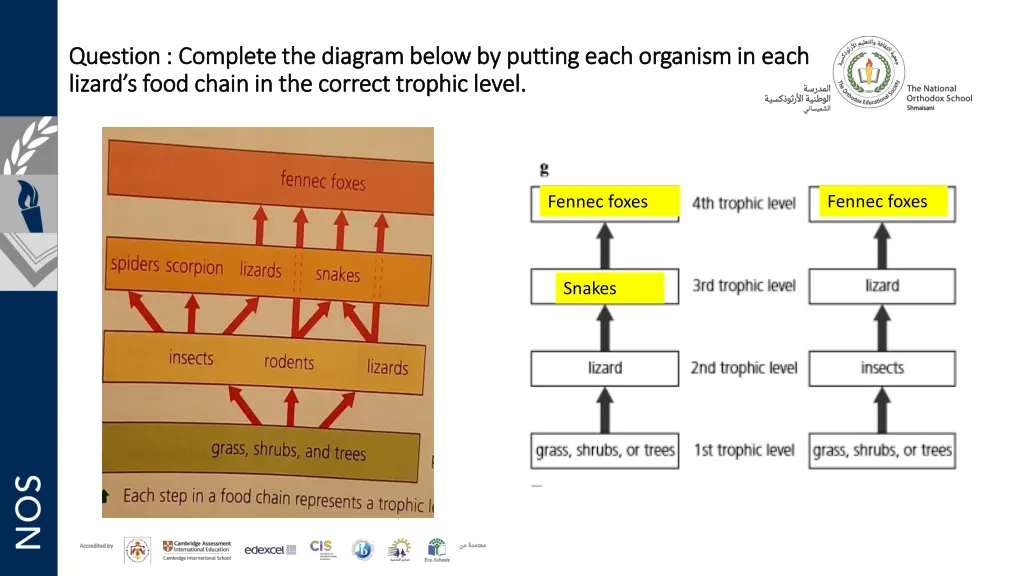 question complete the diagram below by putting