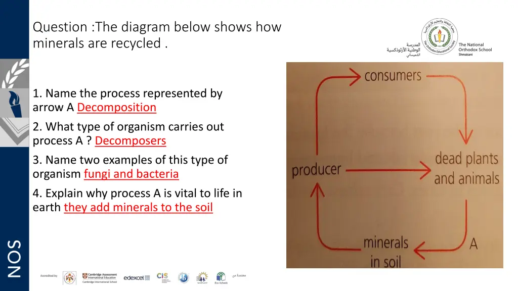 question the diagram below shows how minerals