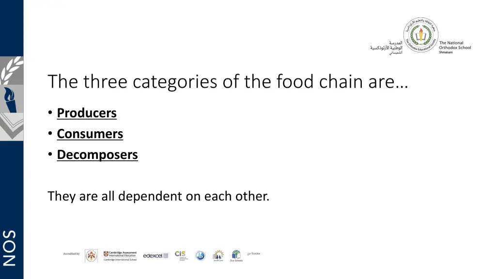 the three categories of the food chain are