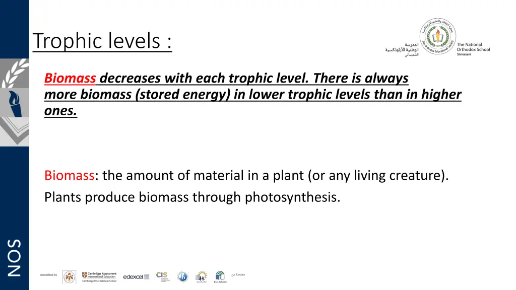 trophic levels 1