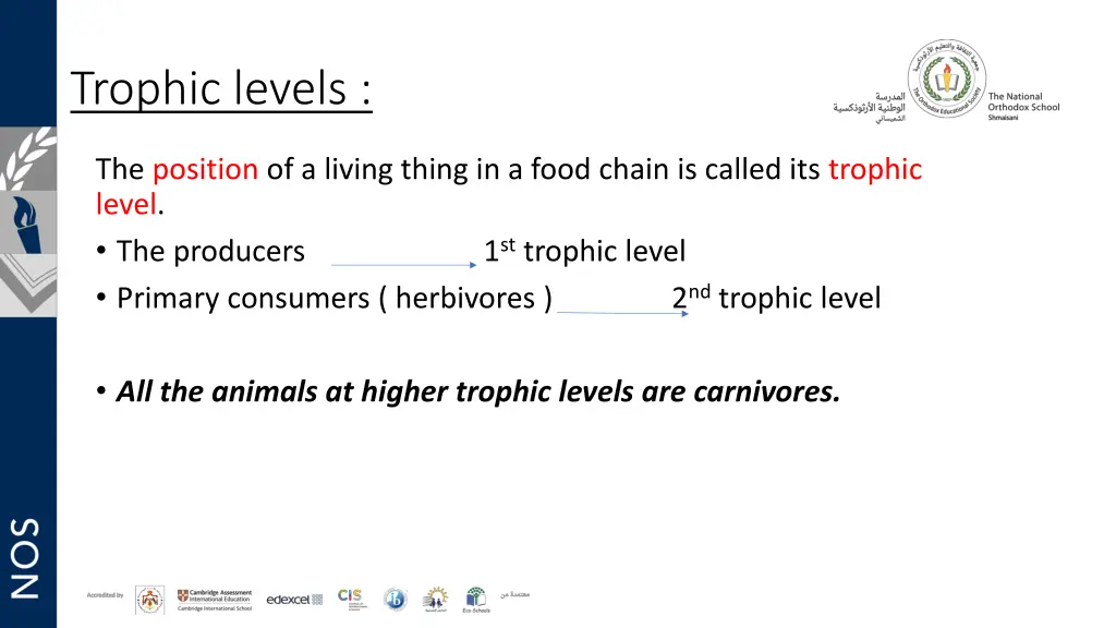 trophic levels