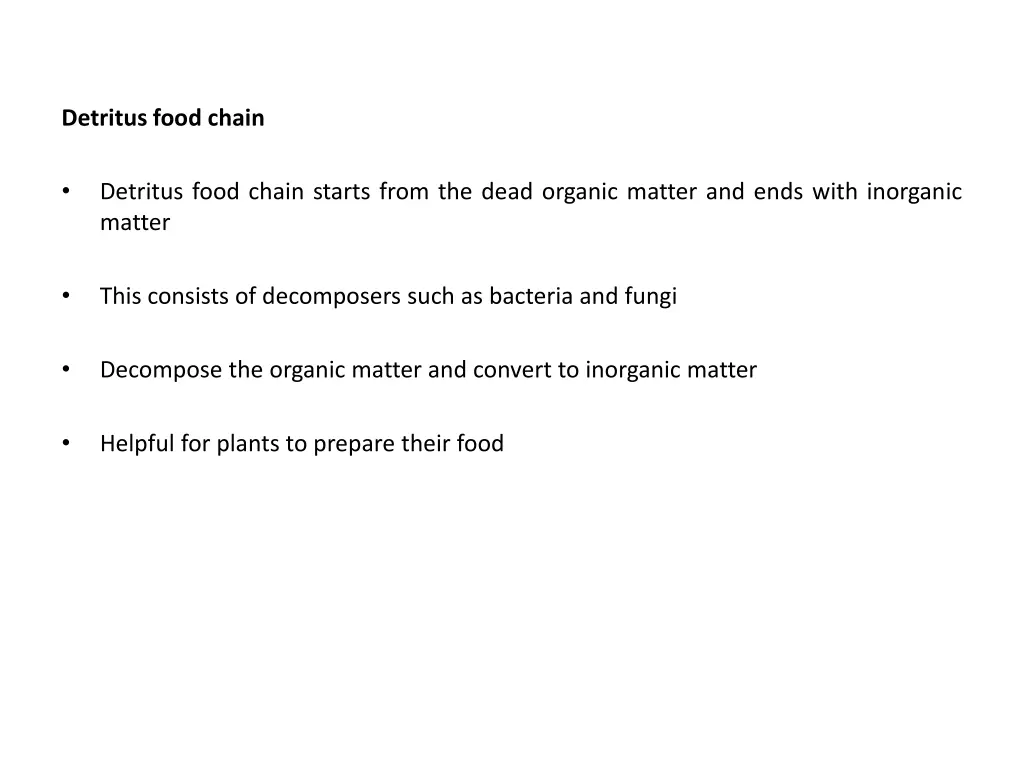 detritus food chain