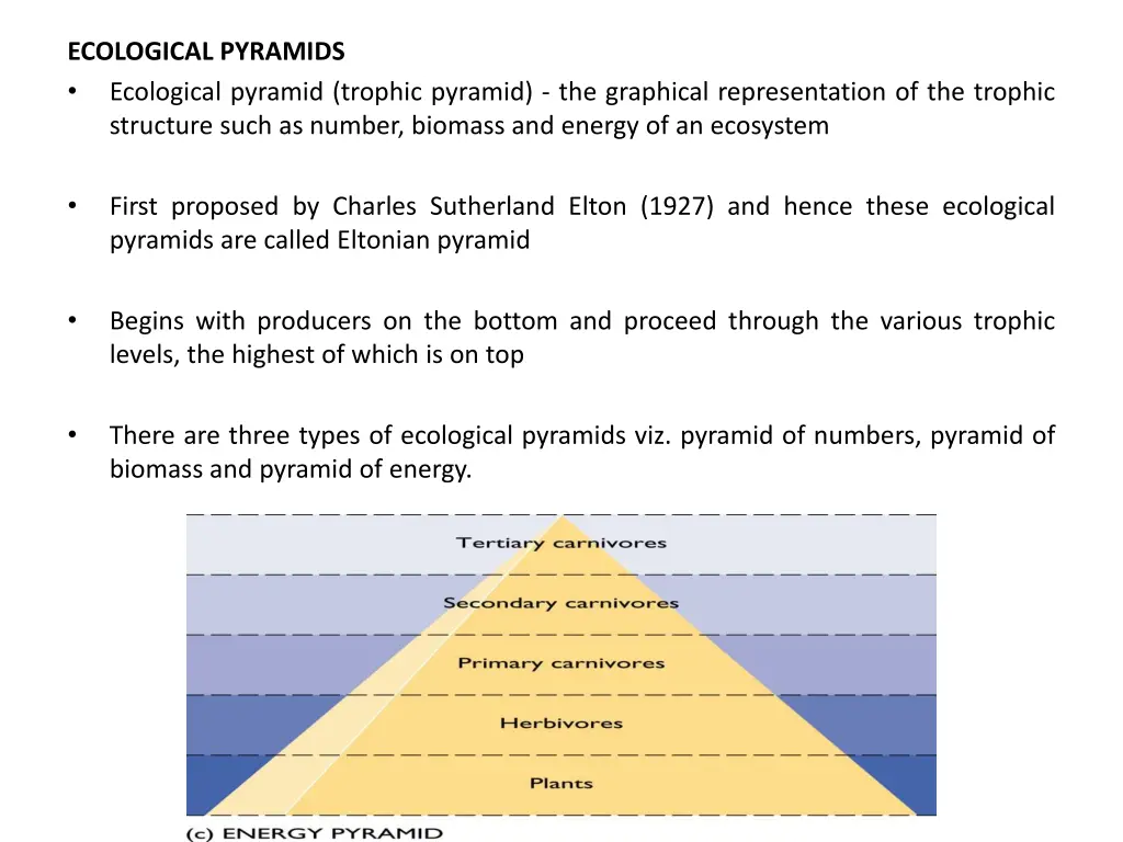 ecological pyramids ecological pyramid trophic