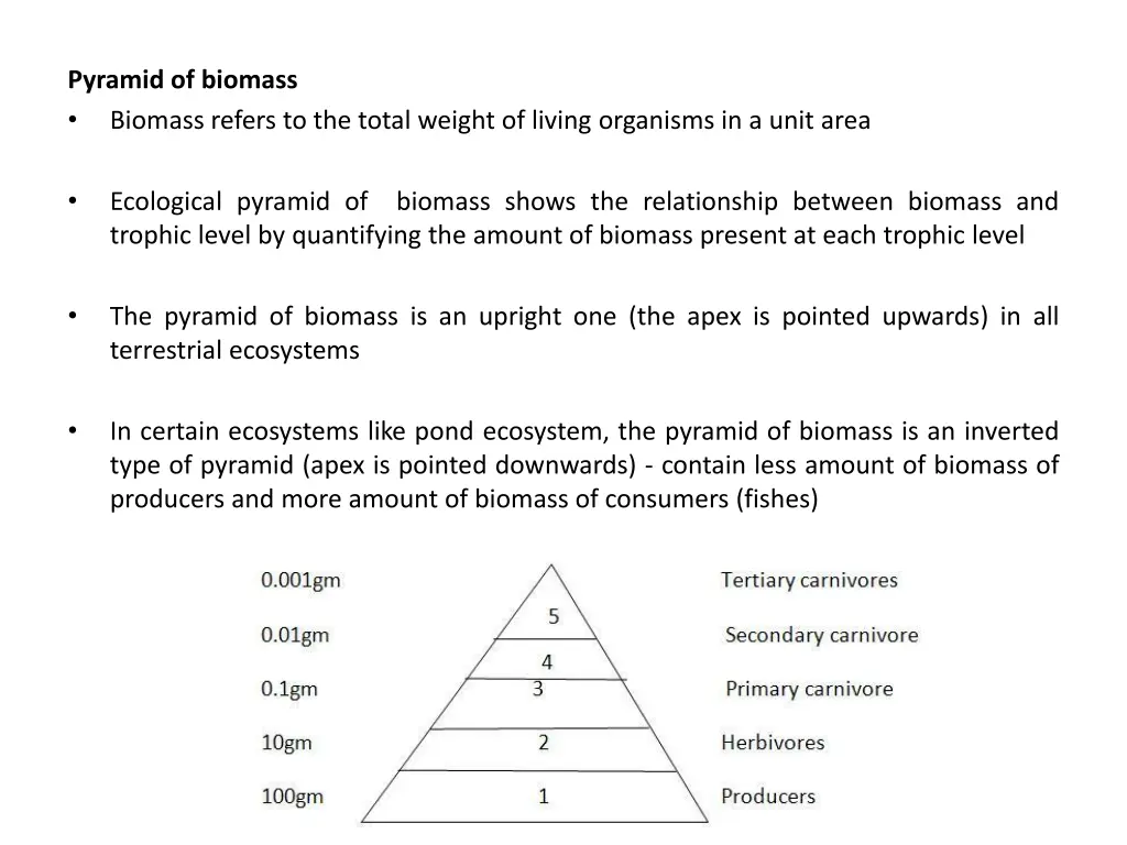 pyramid of biomass biomass refers to the total