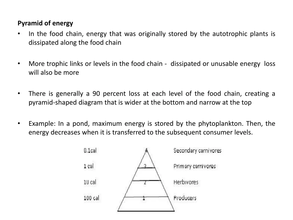 pyramid of energy in the food chain energy that