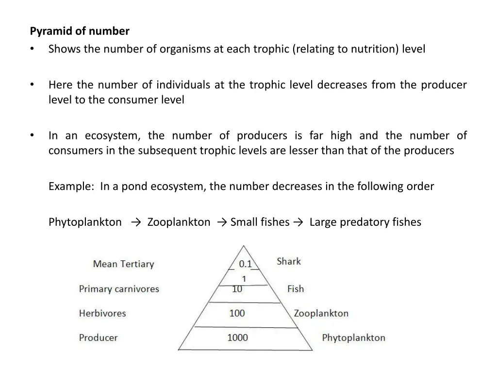 pyramid of number shows the number of organisms