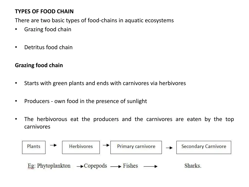 types of food chain there are two basic types