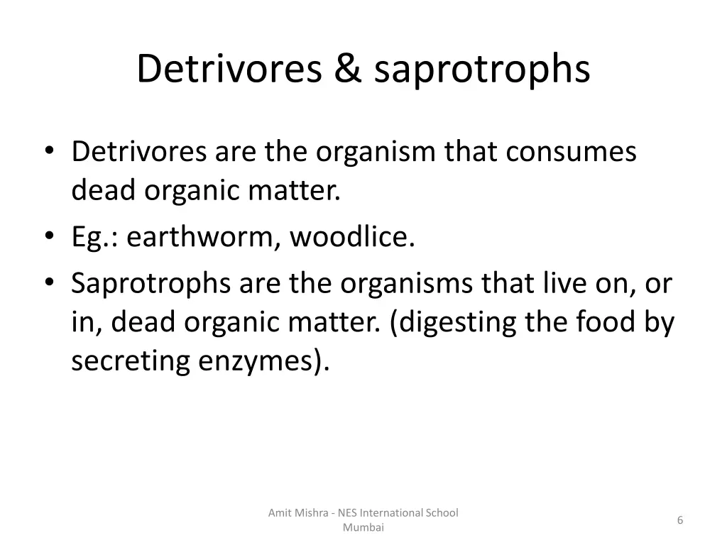 detrivores saprotrophs