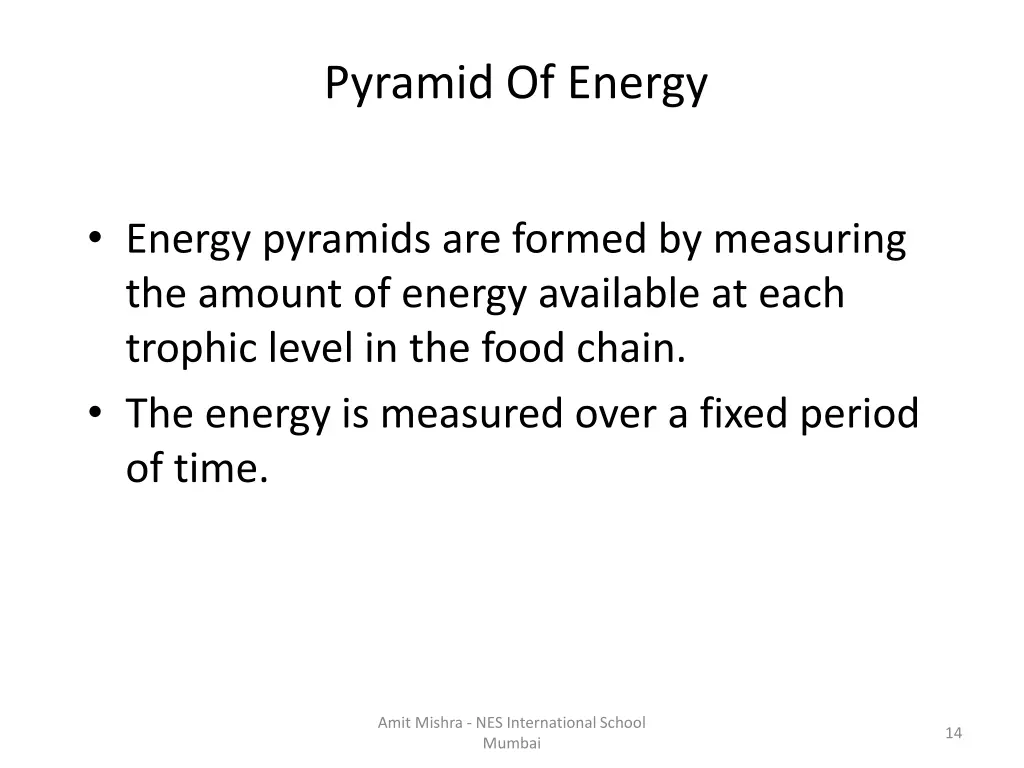 pyramid of energy