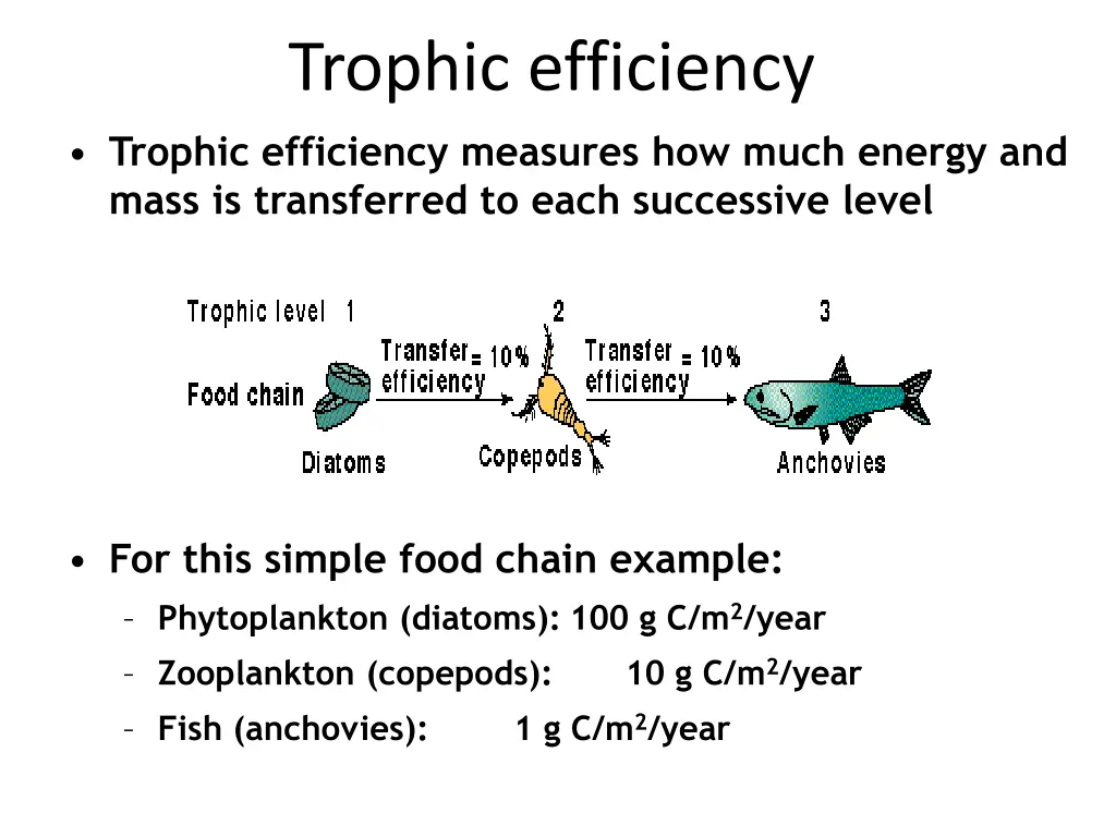 trophic efficiency