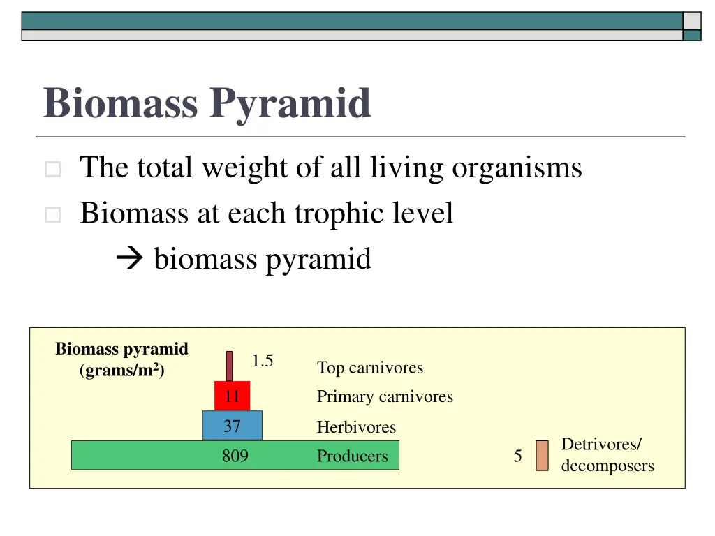 biomass pyramid