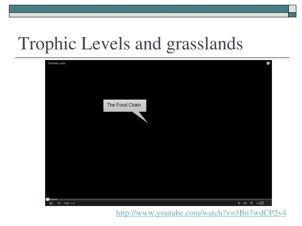 trophic levels and grasslands