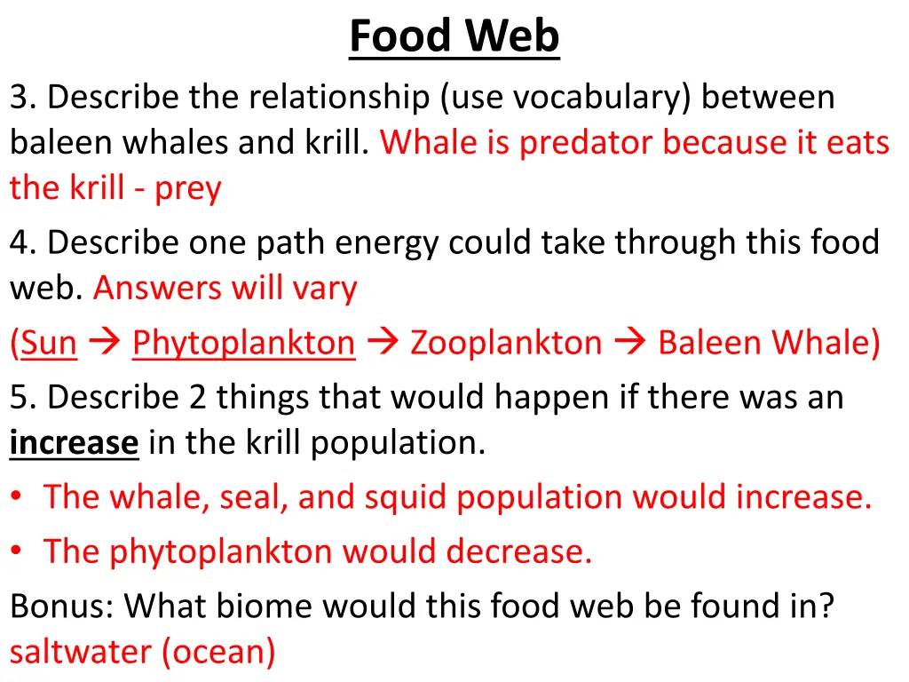 food web 1