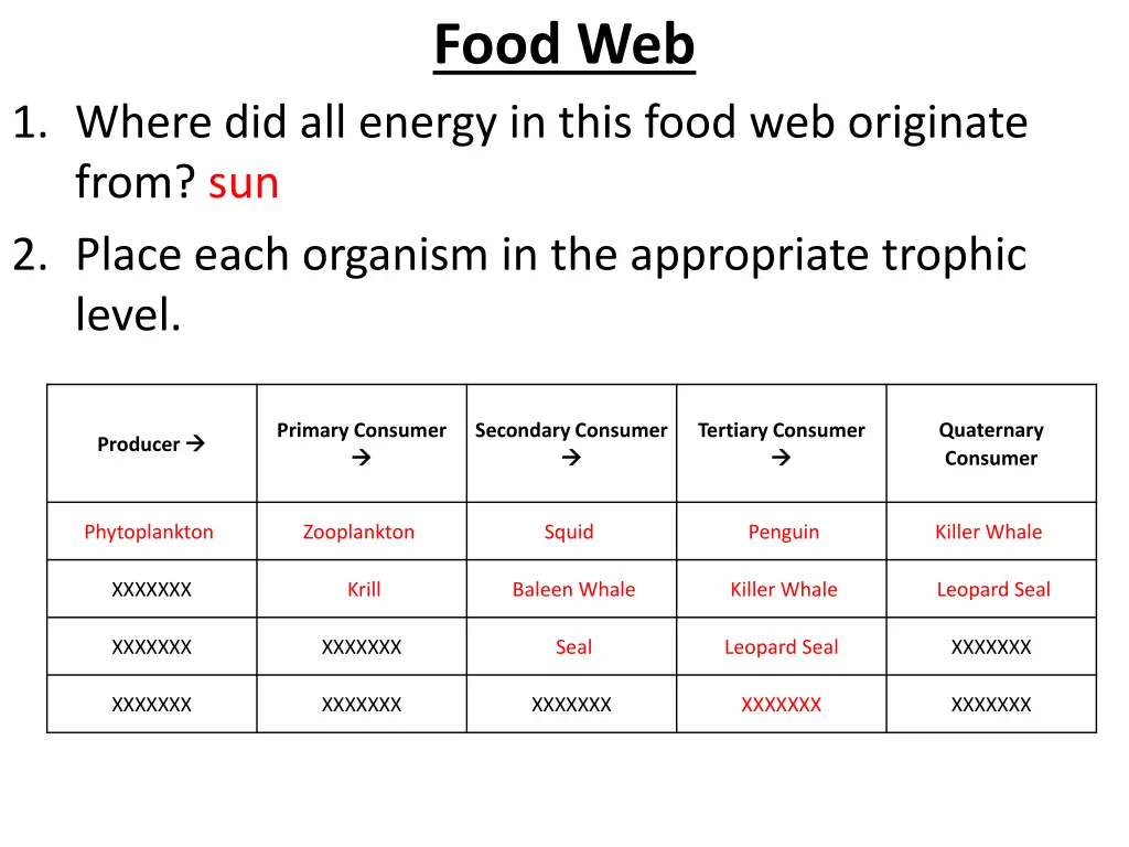 food web