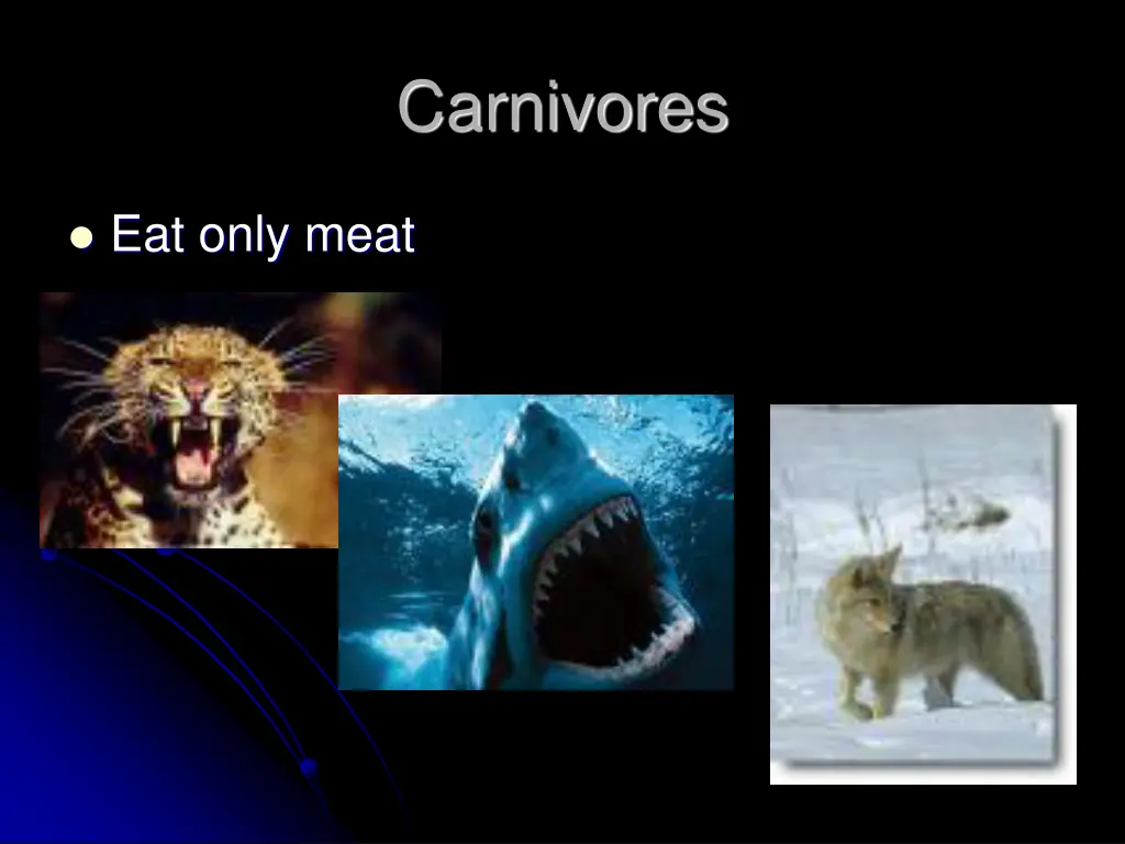 carnivores