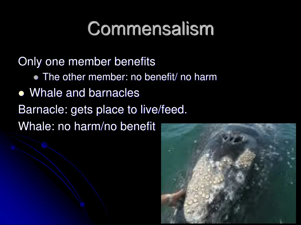 commensalism