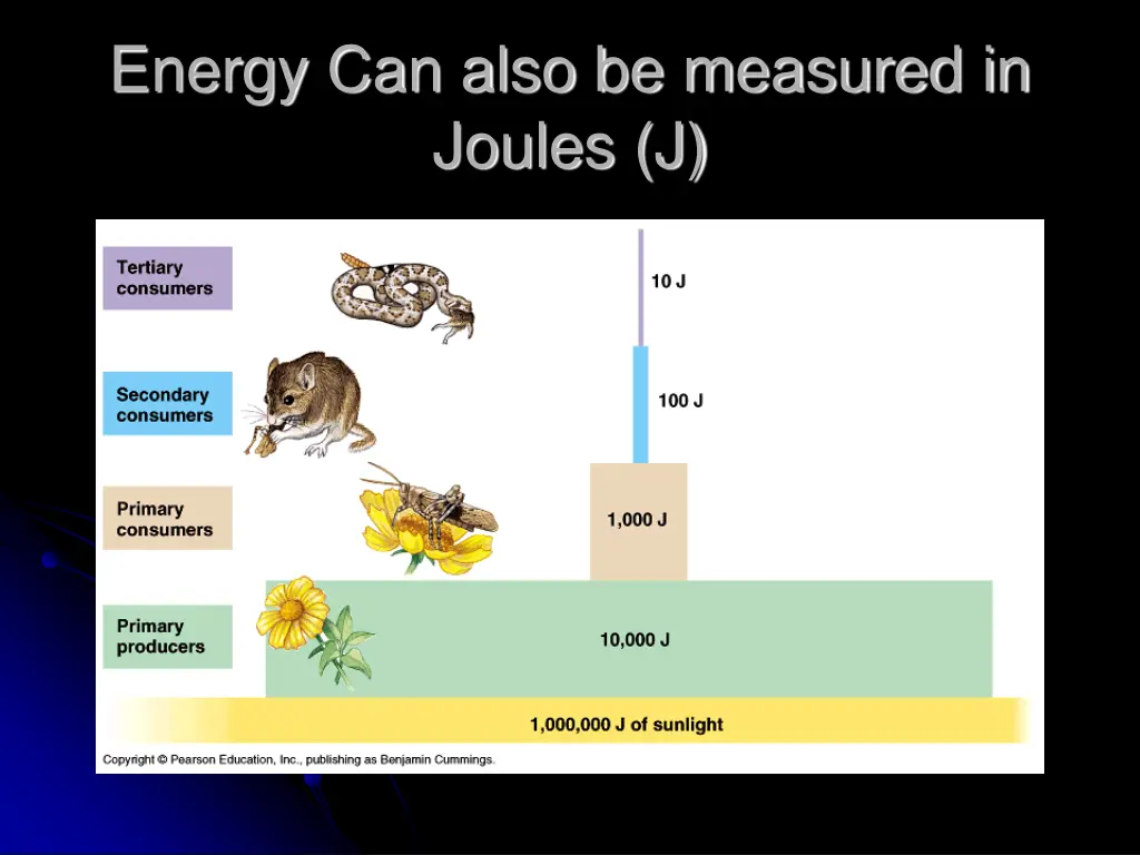 energy can also be measured in joules j