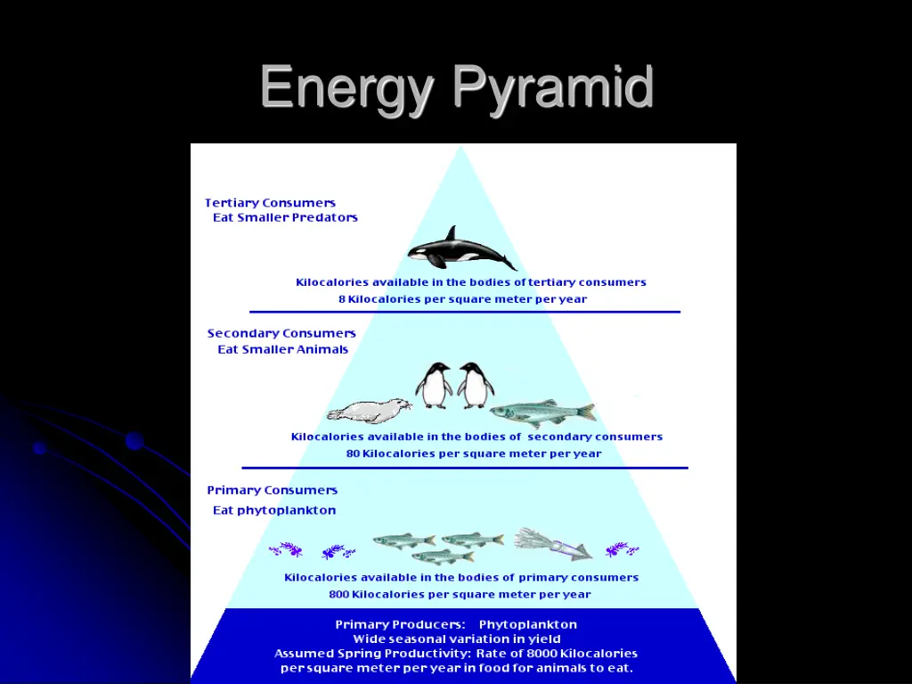 energy pyramid