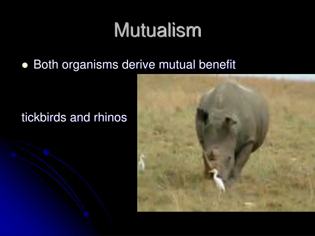 mutualism