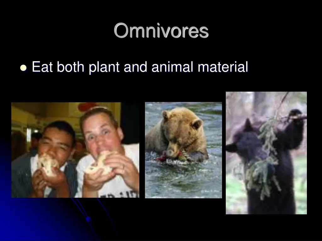 omnivores