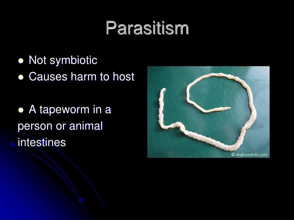 parasitism