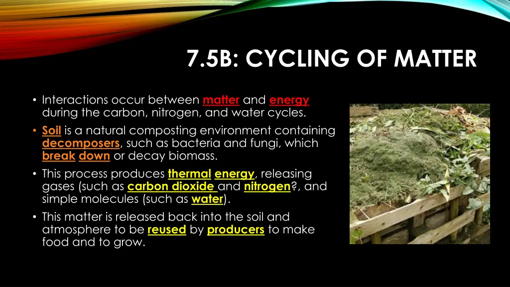 7 5b cycling of matter