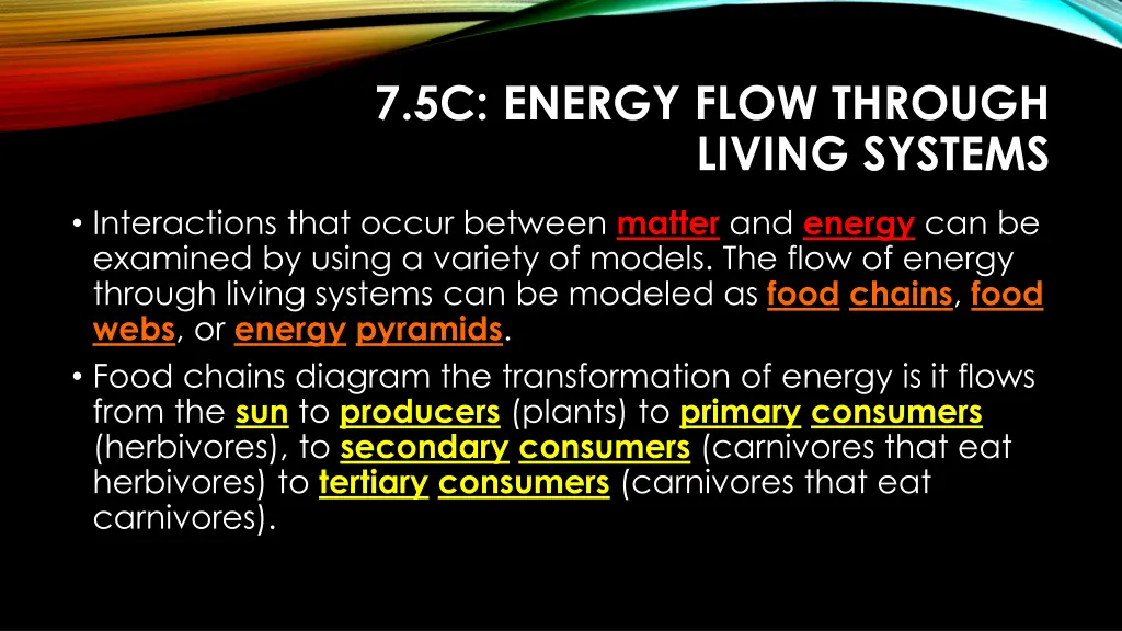 7 5c energy flow through living systems