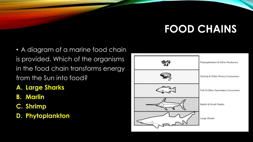 food chains